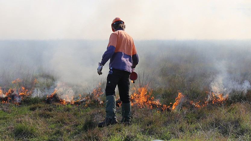 Image of an employee performing an ecological burn on grassland
