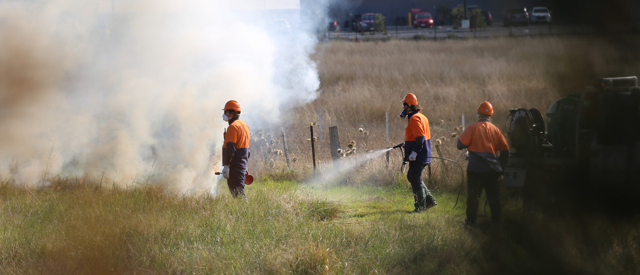 Image showing employees performing an ecological burn on grassland