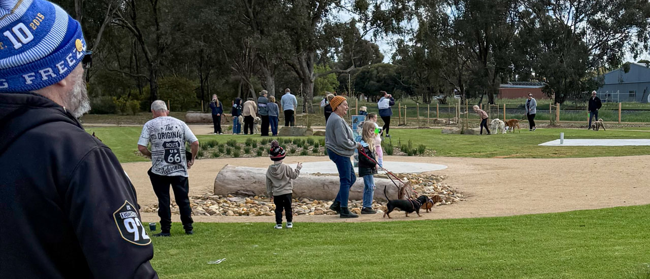 An adult and 2 children walk 2 Dachshund dogs in a dog park at Tongala Victoria. Other people and dogs can be seen in foreground and background