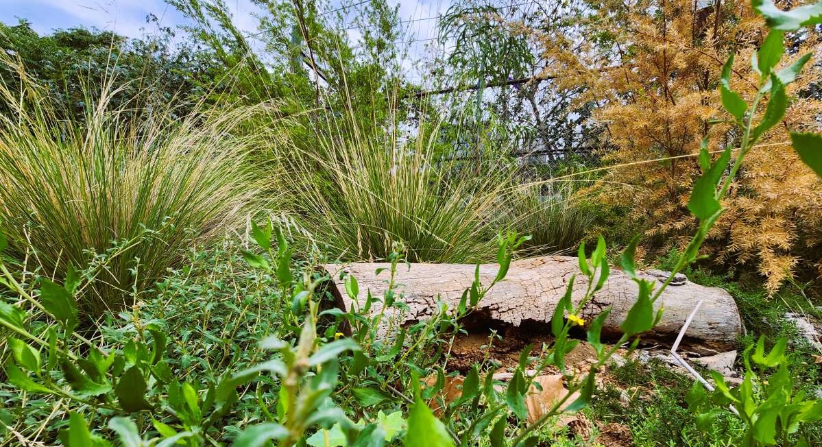 Victoria Park Station