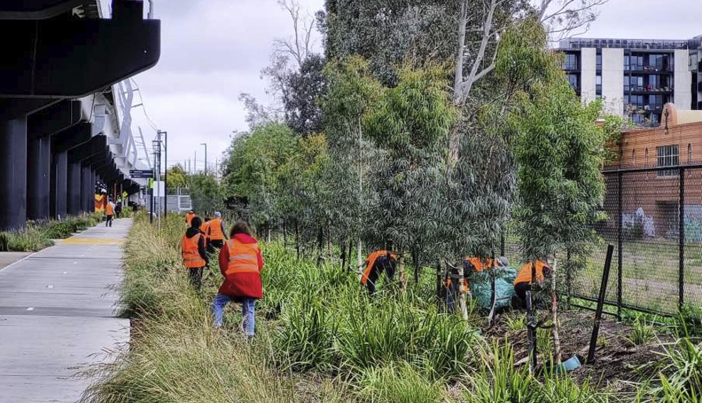 Volunteers at Bell Station