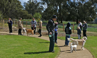 A group of people and dogs walk on a gravel path that crosses green grass in a dog park at Tongala Victoria. 